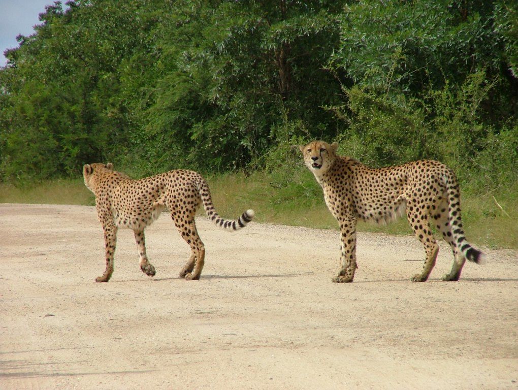 2922d46c-4911-4d15-acba-385b8024f92d