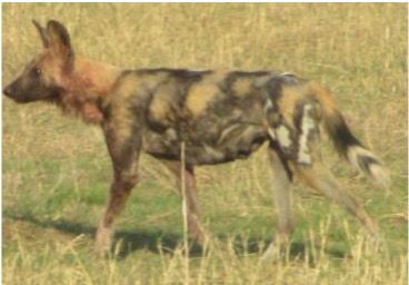 9eaf6b21-4cdd-4e14-8a48-2deb37483ef6