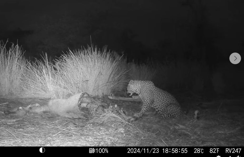 98c79027-002e-4998-b787-3808a1bf6df7