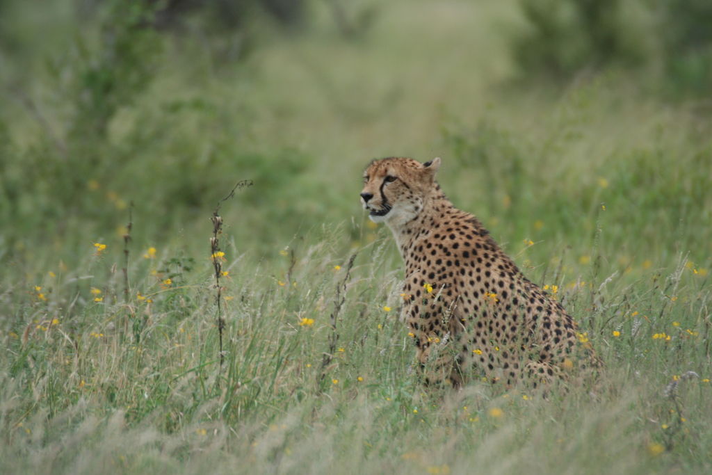 65cde951-ae02-46d0-b05d-5a32badd5049