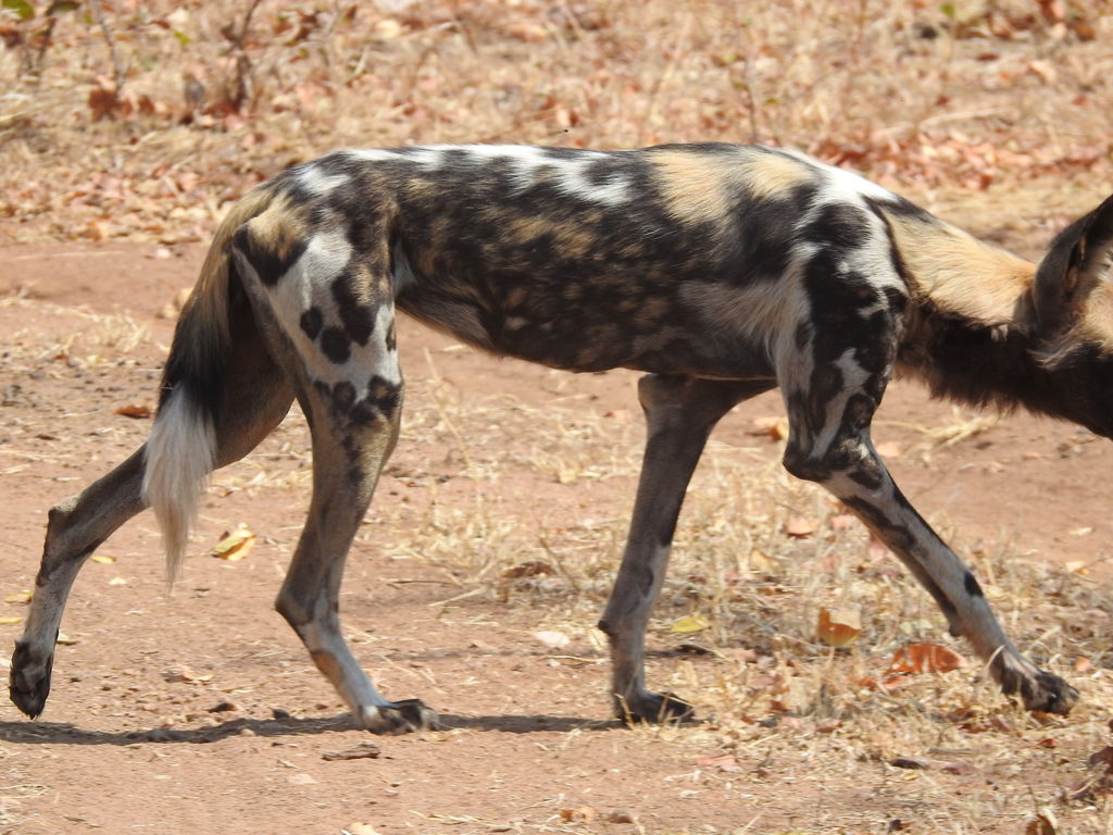 847576de-ba65-4b66-a3a8-f81e84535841