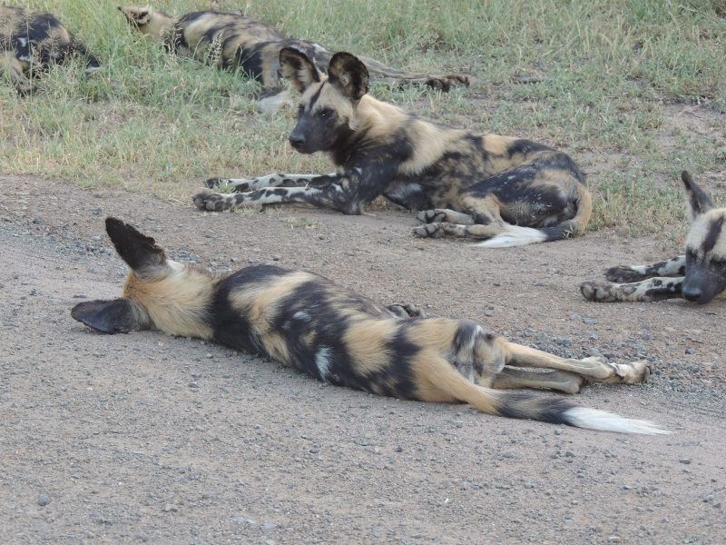 4262b217-9ef4-4626-8c5c-c7ea628b6793