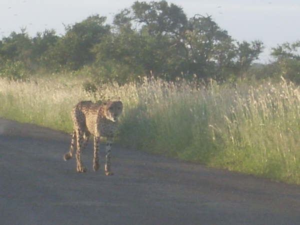 07eb1c27-d61d-44e8-9919-36e5885849c7