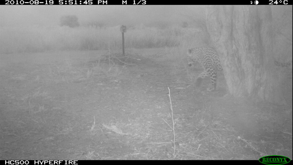 271c8bfa-8dff-44d5-9d4e-72007d7ba700