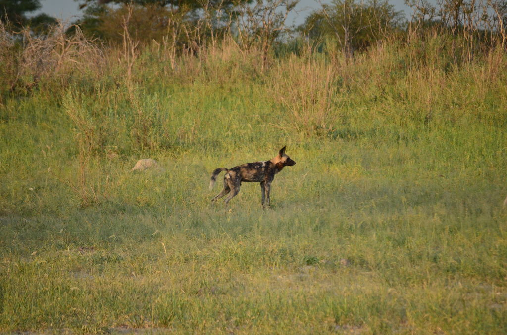 119cd921-b468-4d77-b949-db19c60fd395