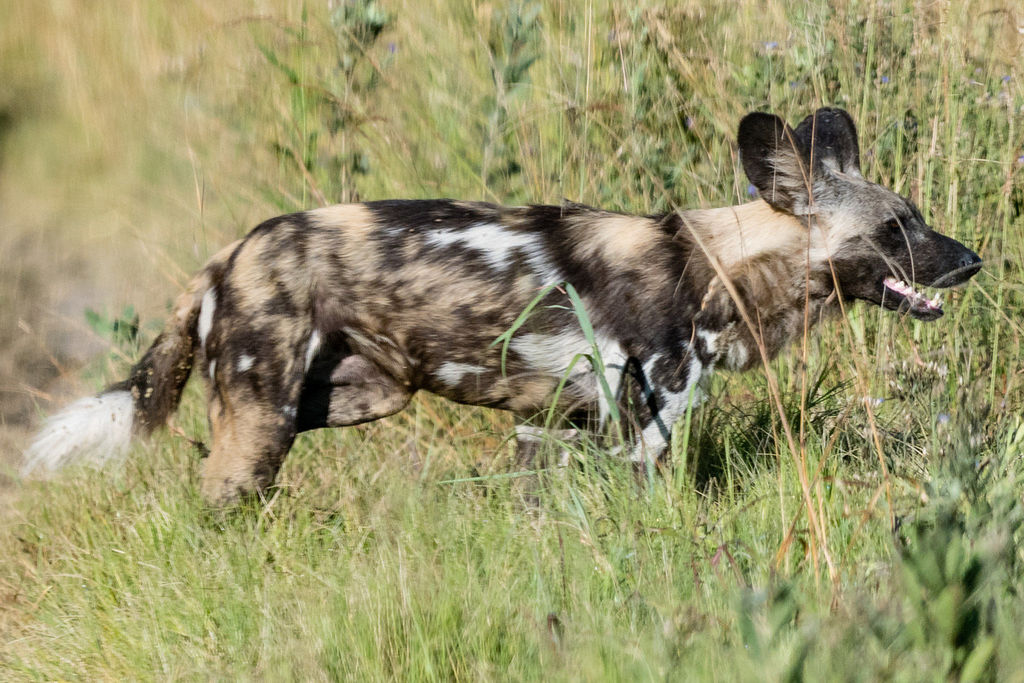 a8312eb8-1845-49ea-92ce-da33fa09511b