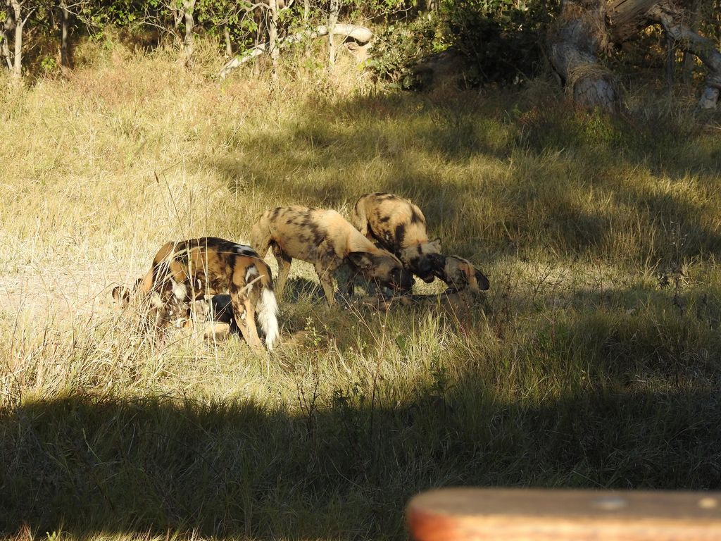 68b8f324-7ddb-488e-b836-915b45cebf64