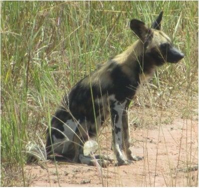 861df5db-e31c-4d98-abe6-024b8068b32e