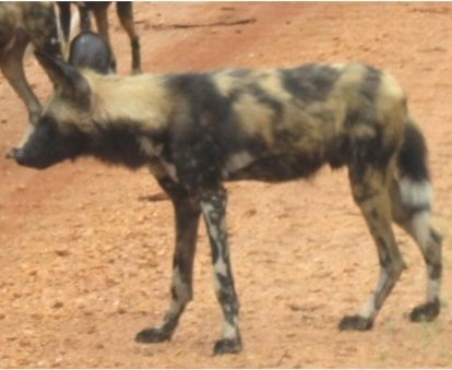 35ecce92-00ad-4c55-b35f-306aa201eeac