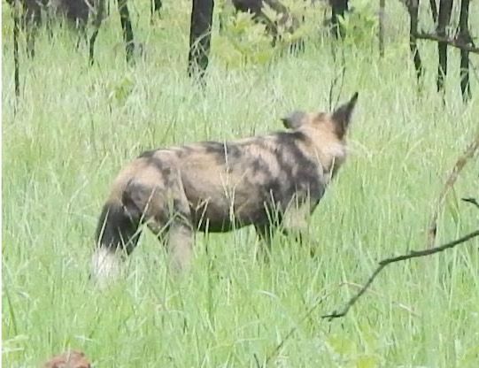 9ef85bce-a178-470d-b386-c615b42d9c92