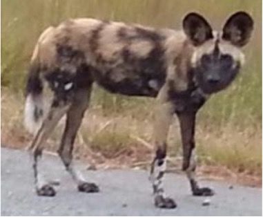 35ecce92-00ad-4c55-b35f-306aa201eeac