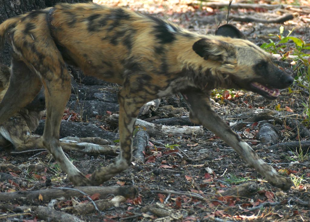 63b1358f-c457-4535-81fd-6800d1c368c1