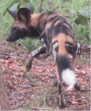 1536cc22-cecb-49d7-998f-286cfbe9bd94