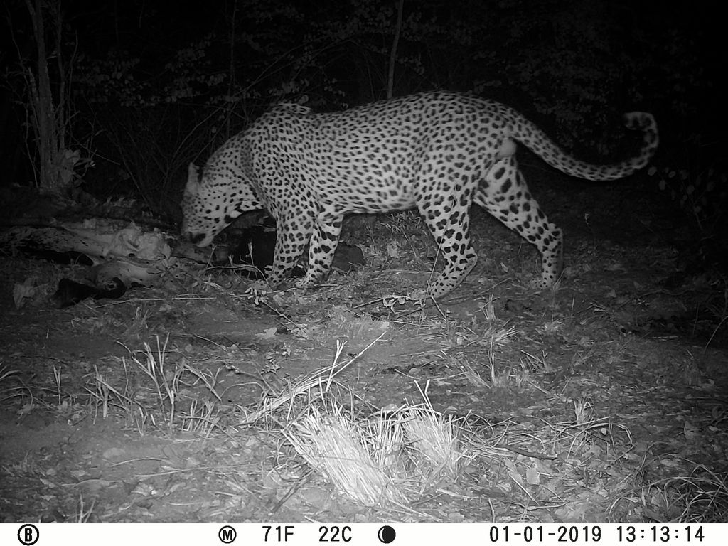 32b33b88-a09c-4694-a971-426d5227fe50