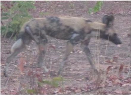 61dc9ee5-6d96-47c9-b4fa-952f1d79d311