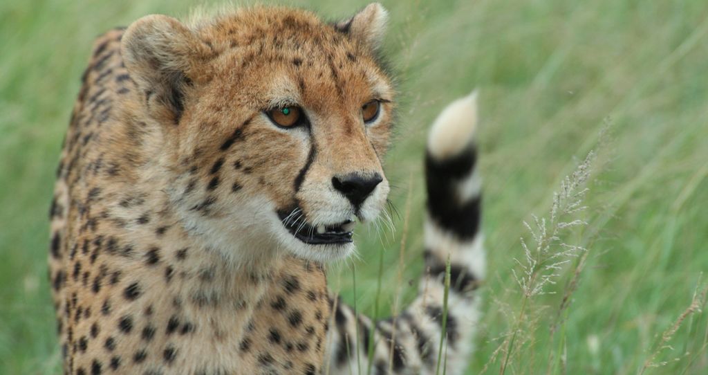 56c5ba77-0f28-4fbb-83d0-08acfe4ed135