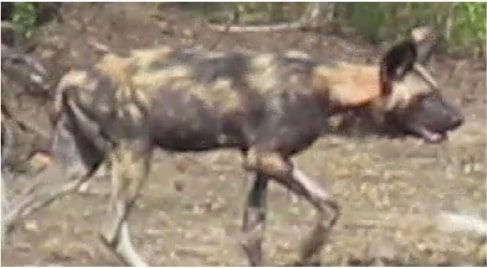 57f32bf8-df38-48b1-8c1a-88569948f8ec