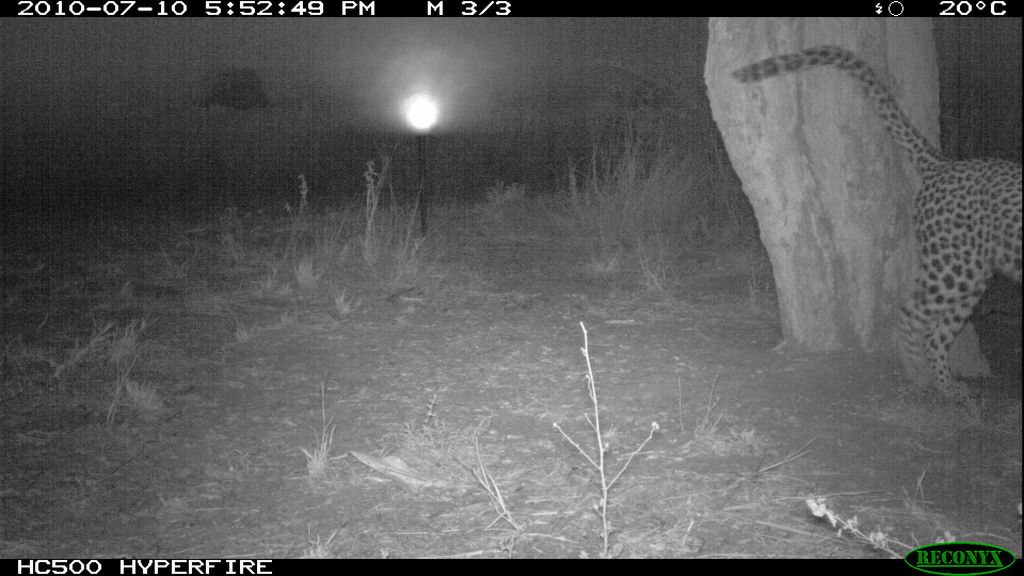 271c8bfa-8dff-44d5-9d4e-72007d7ba700