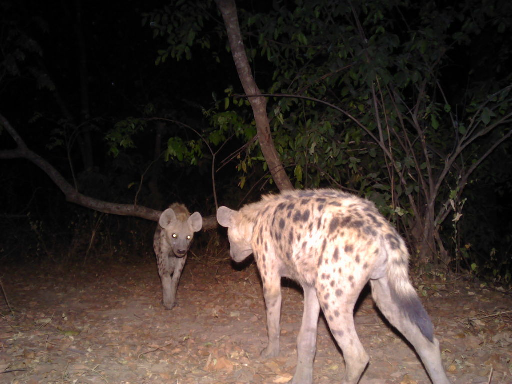 ef8425d1-e1c1-485b-a046-e6eb292b72f5