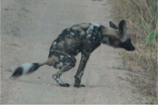 1452c73b-d0ac-4a63-95f0-39b0083edb34