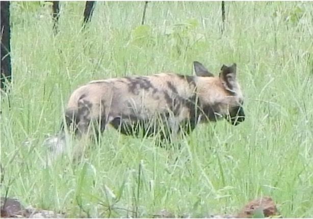 9cfafb86-c9b8-4c40-9798-73dde216eaee