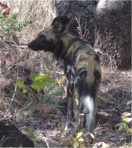 96498550-e544-4326-807d-7711e7f6583c