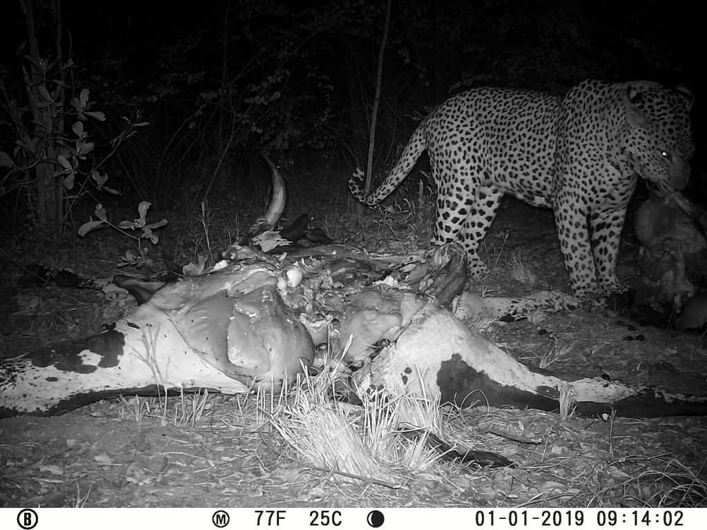 32b33b88-a09c-4694-a971-426d5227fe50