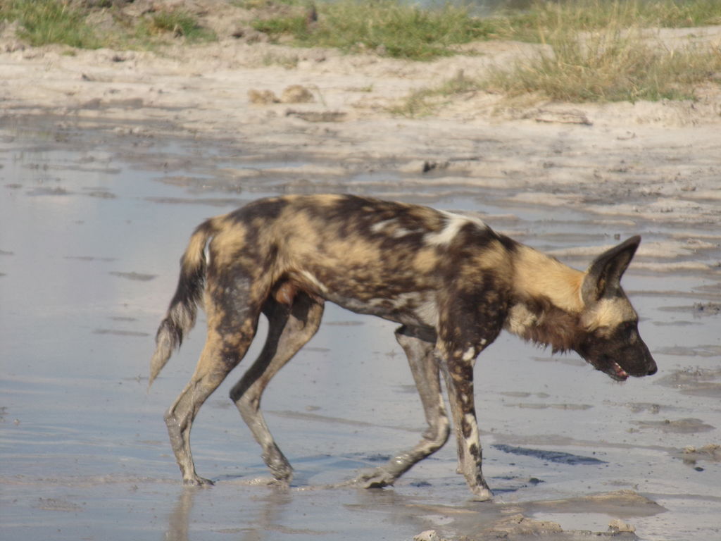 119cd921-b468-4d77-b949-db19c60fd395