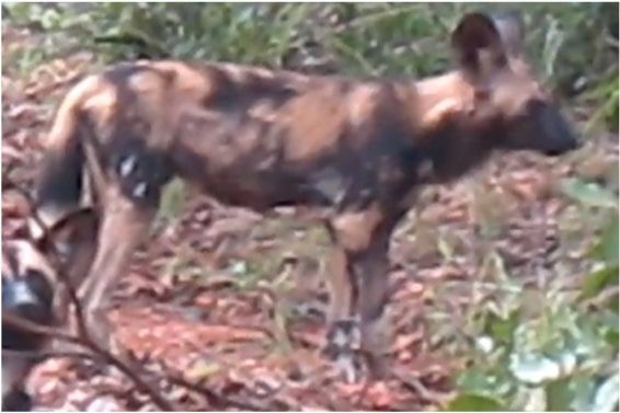 37a2aad3-4415-470c-9564-0fa49b0db85c