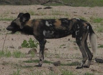 c5417188-7ff3-49b6-9920-347be5cf9389