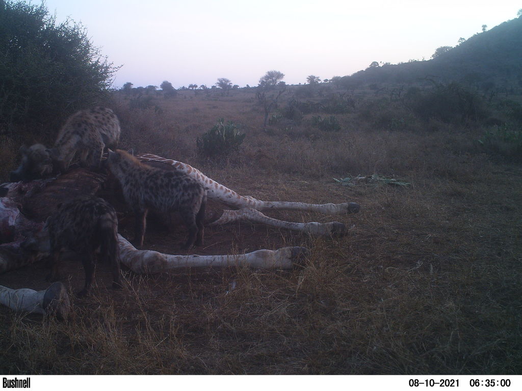 4949180c-c428-4cf0-8671-4218d80e1f84