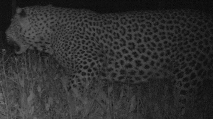 220e6e43-0723-4068-9d2b-08c125017361