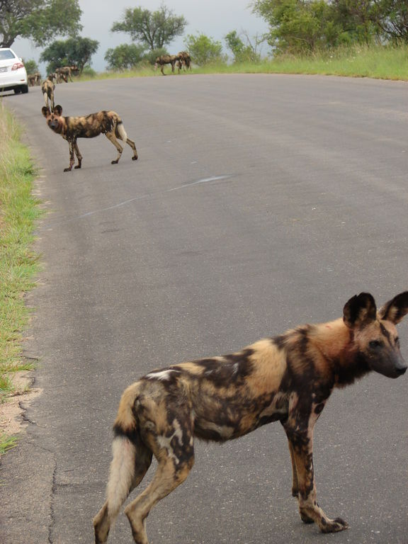 cfdac617-9c20-410d-bdef-d7ed71b82e5b