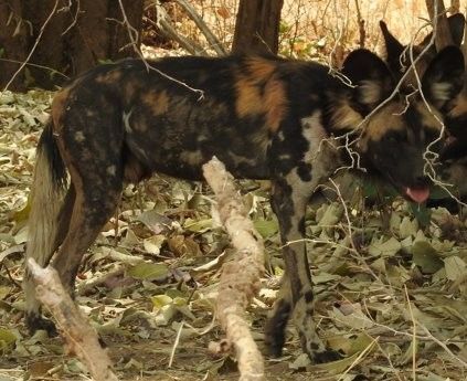 c5417188-7ff3-49b6-9920-347be5cf9389