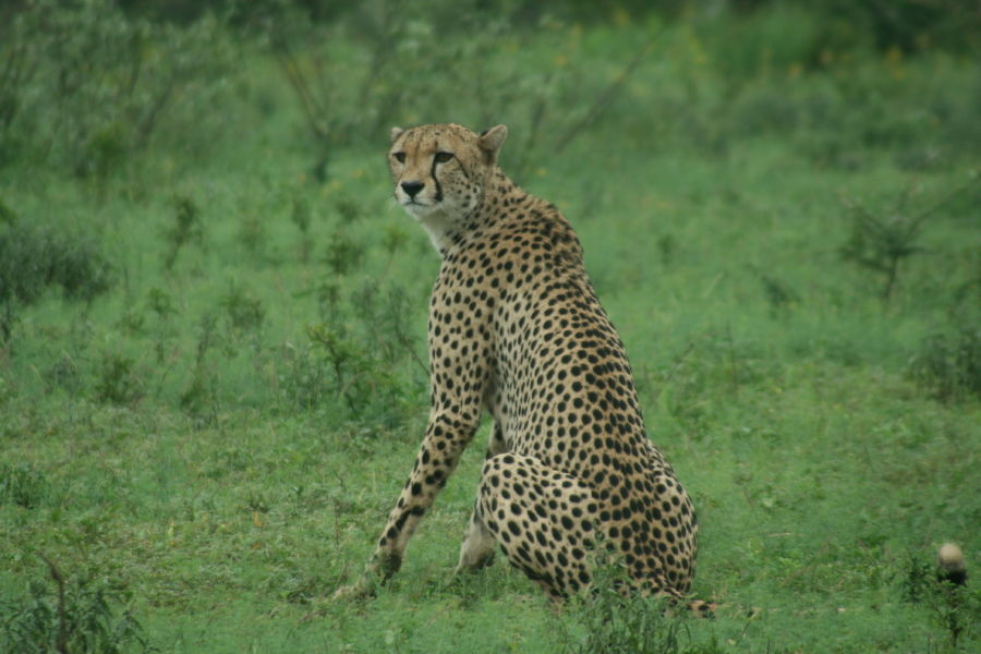 f8038d85-50c9-4366-87ac-5bda06bc684d