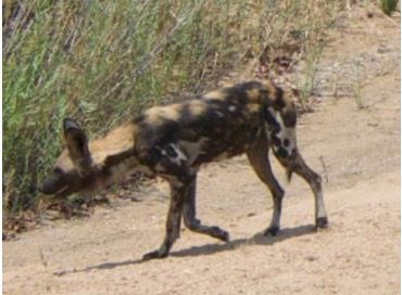 861df5db-e31c-4d98-abe6-024b8068b32e