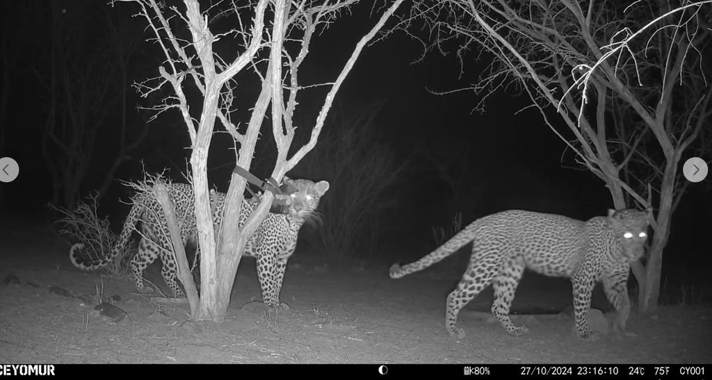 98c79027-002e-4998-b787-3808a1bf6df7