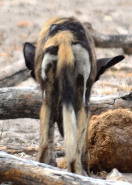 13836c95-588c-4e21-9d6f-fc41798277ea