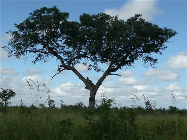 07eb1c27-d61d-44e8-9919-36e5885849c7