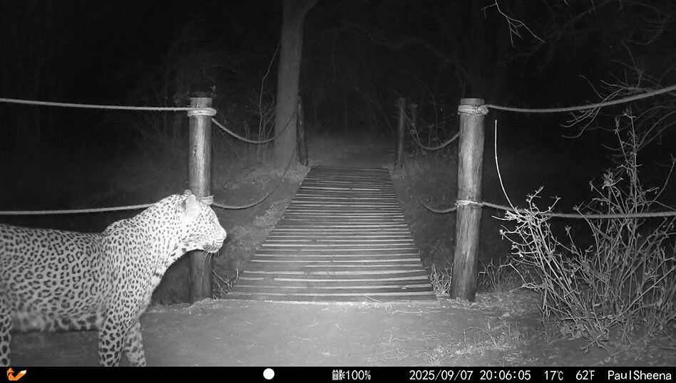 669d9632-34c5-4888-b5b7-d0cced10706d