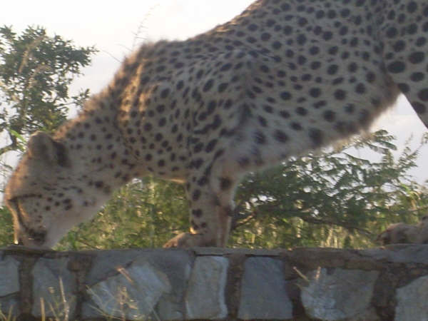 07eb1c27-d61d-44e8-9919-36e5885849c7