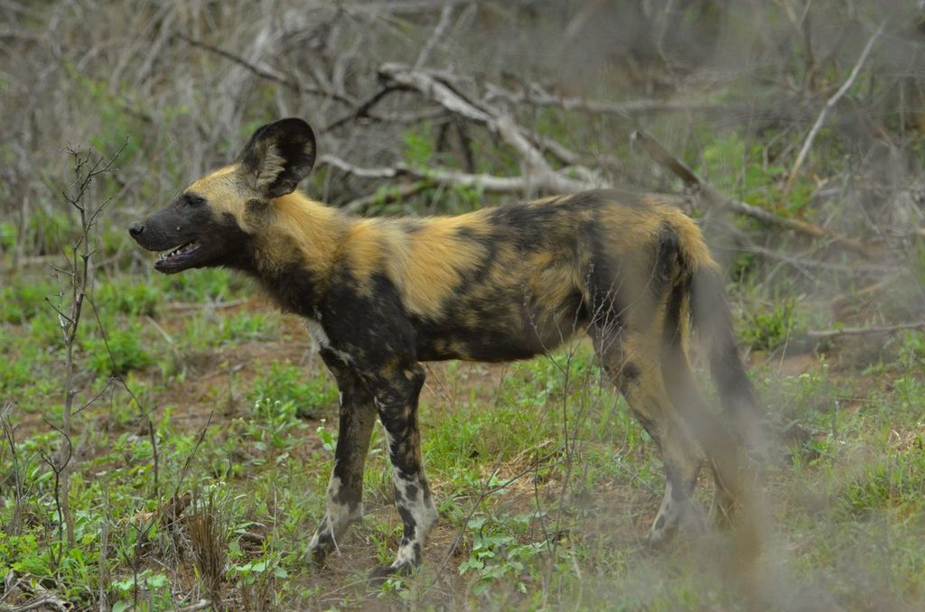 37067100-1c4e-4aef-b97e-77b883270750