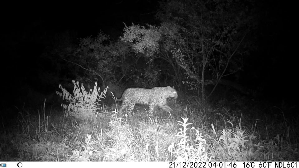 98c79027-002e-4998-b787-3808a1bf6df7