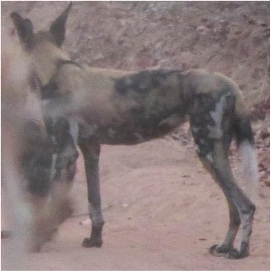 10f1dc6d-d802-4e05-87a6-edf51d0e50bc