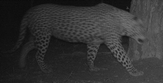 220e6e43-0723-4068-9d2b-08c125017361