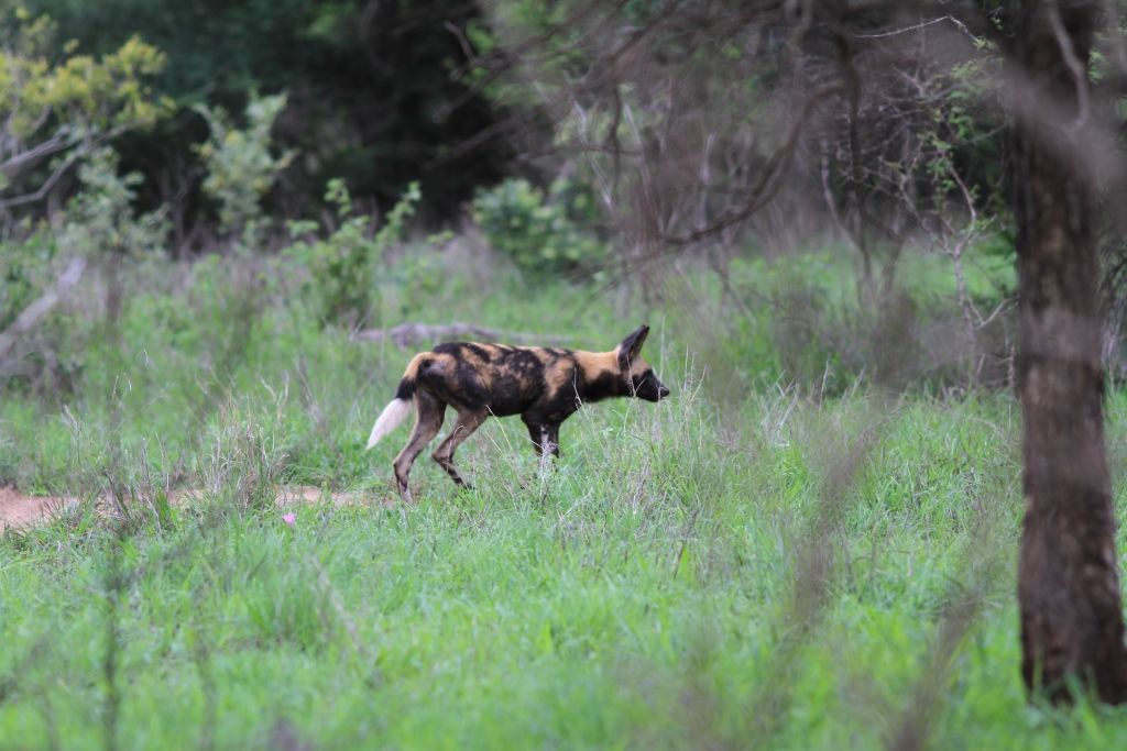 4262b217-9ef4-4626-8c5c-c7ea628b6793