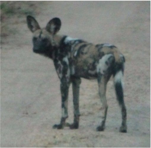 1452c73b-d0ac-4a63-95f0-39b0083edb34