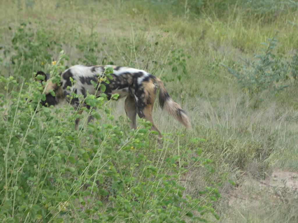 ca564ca0-555f-4e1d-8196-1994e5cd4262