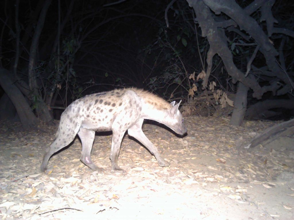 eb9bce50-5e6e-4653-a525-abe0eedf744b