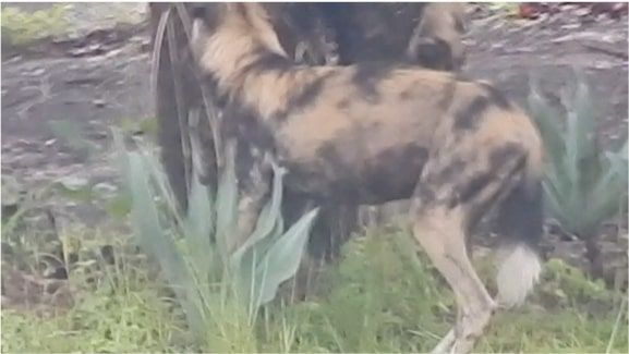 9ef85bce-a178-470d-b386-c615b42d9c92